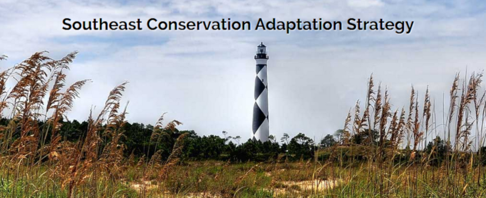 SE Conservation Adaptation Strategy banner