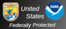 Banner for current group
